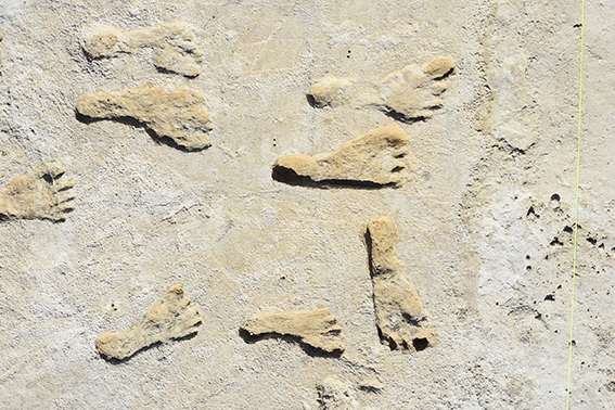 23,000-year-old footprints suggest people reached the Americas