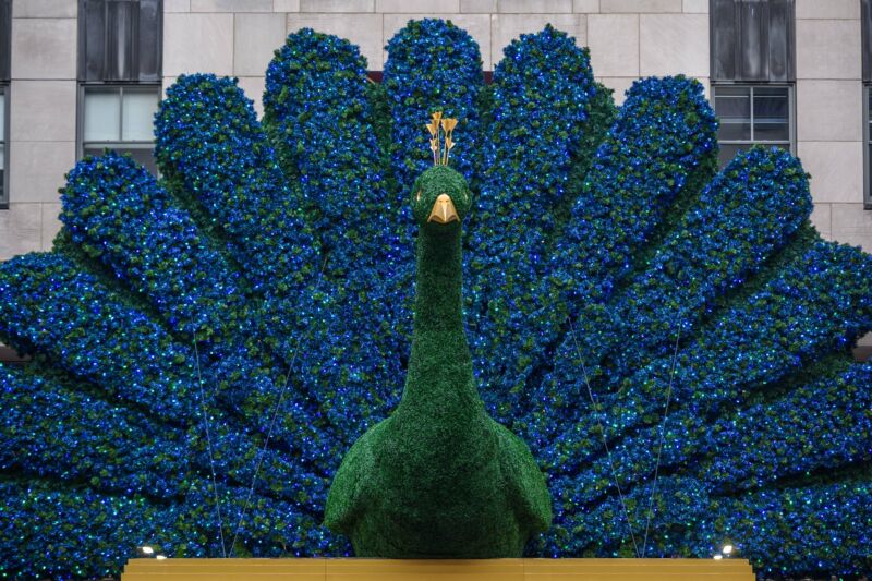 Escultura de un gran pavo real.