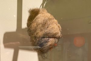 One of the tribbles used in the TOS episode "The Trouble with Tribbles."