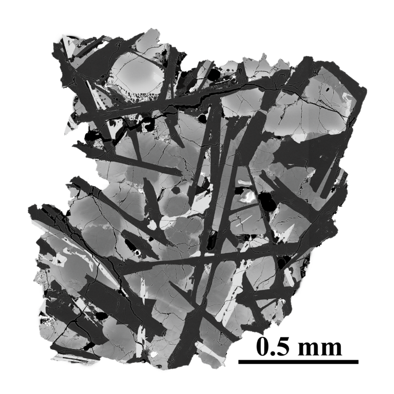 Grayscale image showing a slice through a rock with a complex structure.