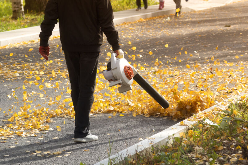 Gas-powered lawn mowers, leaf blowers to be banned under new California law