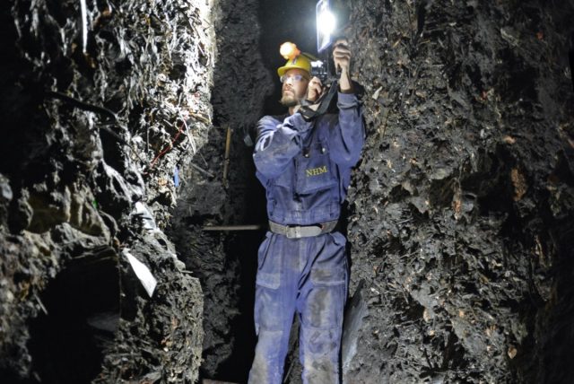 An Intrepid Archaeologist Standing In The Middle Of Layers Of Mining Debris&Mdash;Including Paleofeces.