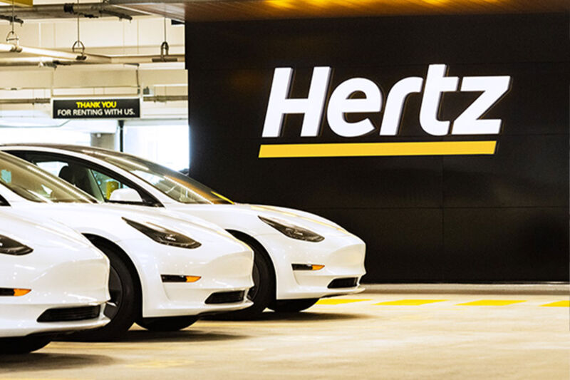 A row of white Teslas by a Hertz sign