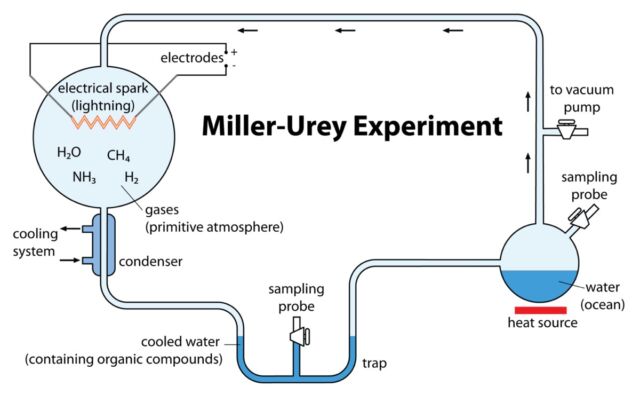 Diagram of the 1952 Miller-Urey experiment.