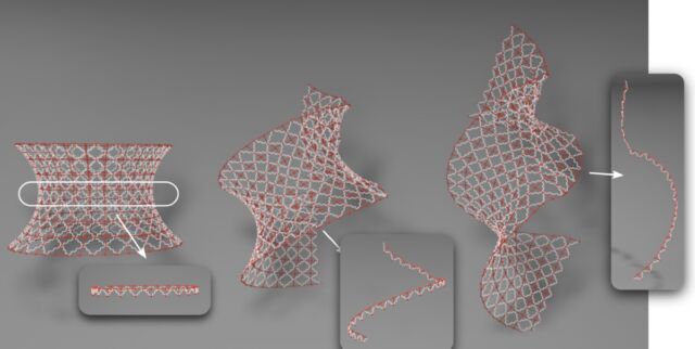 Harvard researchers have developed a shapeshifting material that can take and hold any possible shape.