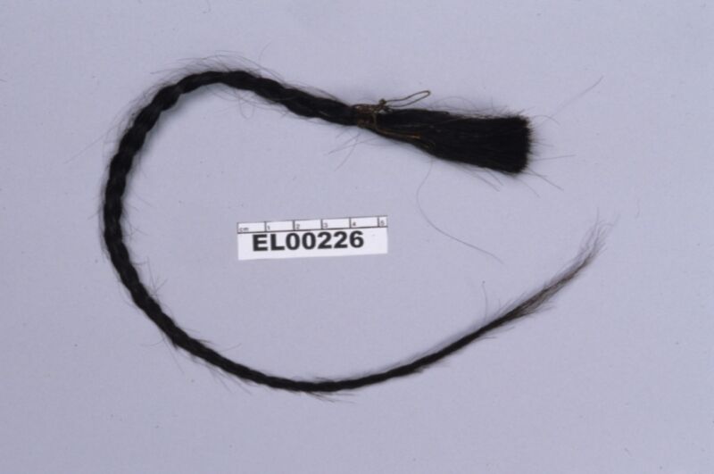 Hair from Lakota Sioux leader Sitting Bull’s scalp lock, from which DNA was extracted for analysis.