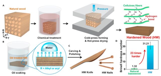 Schematic of the UMD manufacturing method to transform bulk natural wood into hardened wood, with some potential applications.