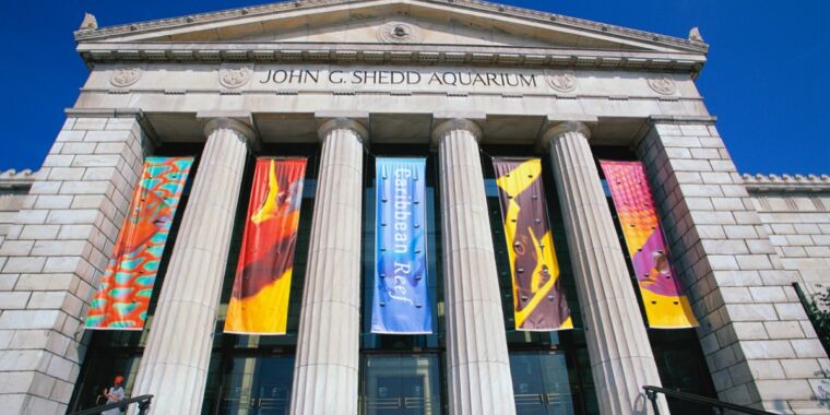 Microbiologists have cracked the case of Shedd Aquarium’s missing medicines - Ars Technica