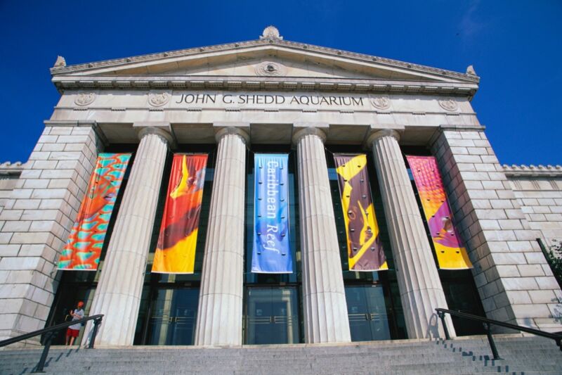 Microbiologists have cracked the case of Shedd Aquarium’s missing medicines