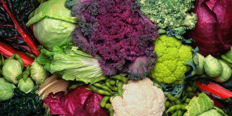 Hate broccoli and cauliflower? Your microbiome might be partially to blame