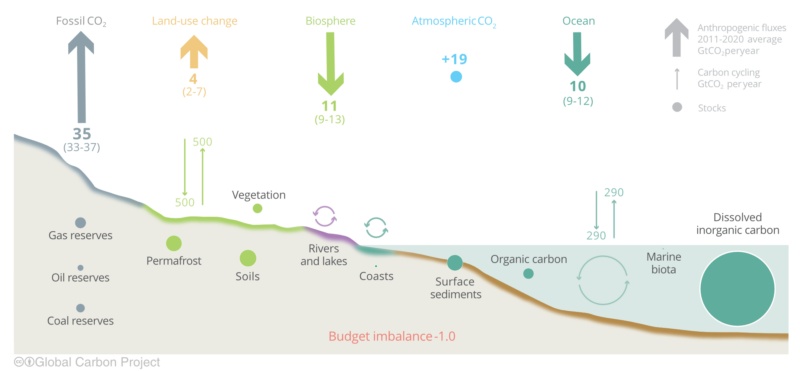 Carbon cycle, illustrated.