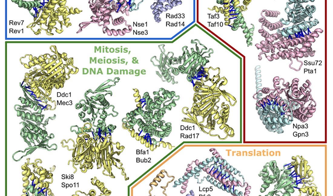 Open-sourcing of protein-structure software is already paying off - Ars ...