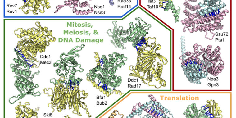 Open-sourcing of protein-structure software is already paying off