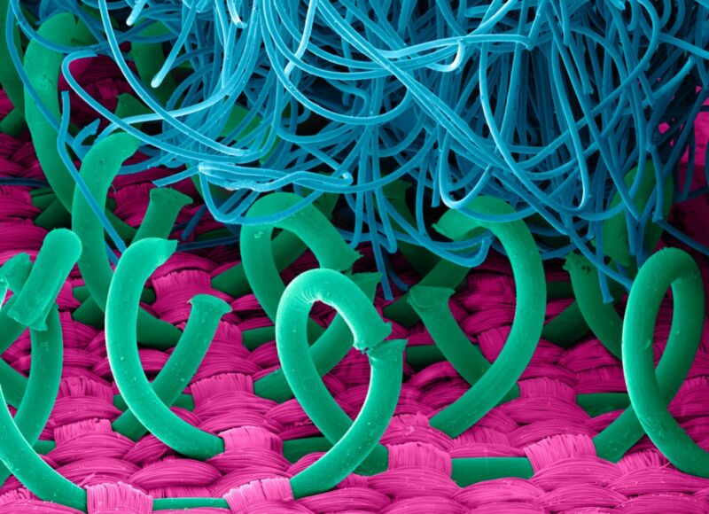 Artist's representation of the microstructure of Velcro. Scientists at the Italian Institute of Technology have created a soft, biodegradable and soluble Velcro inspired by the micro-hook structure of leaves on the “catchweed” plant (<em>Galium aparine</em>). 
