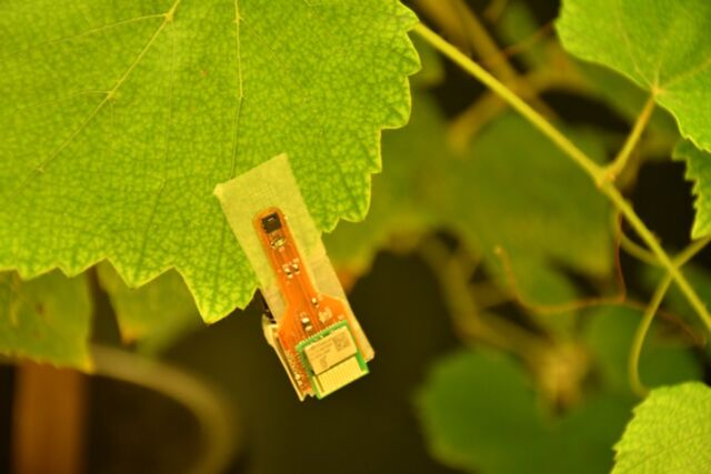 Technology Hooks printed with a photosensitive resin can be assembled together with electronics and sensors for light, temperature, and humidity. This creates intelligent clips for the wireless monitoring of the plant through both sides of the leaf.