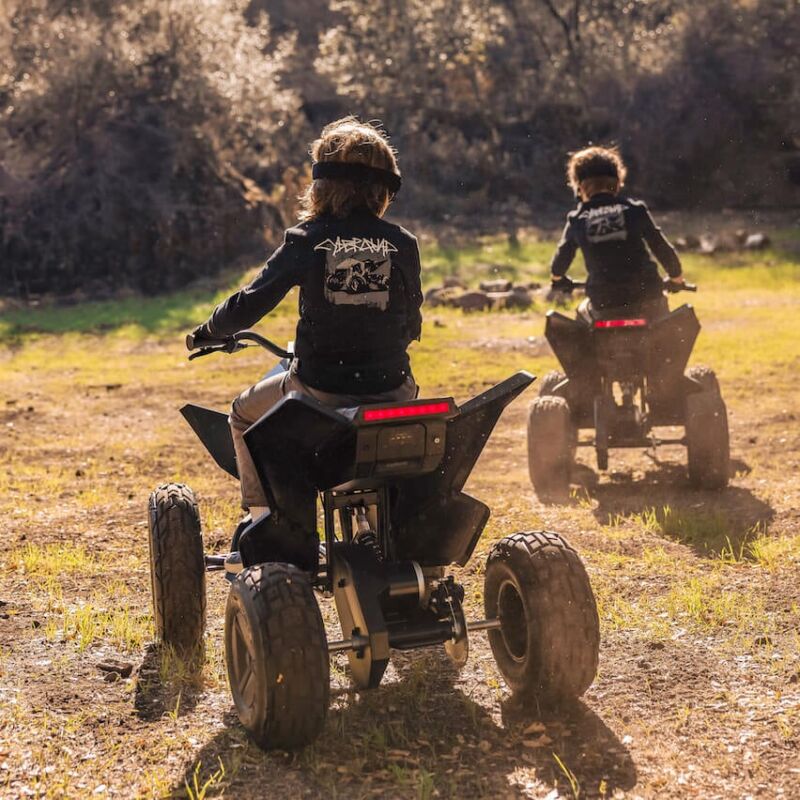 Tesla cybertruck deals quad bike