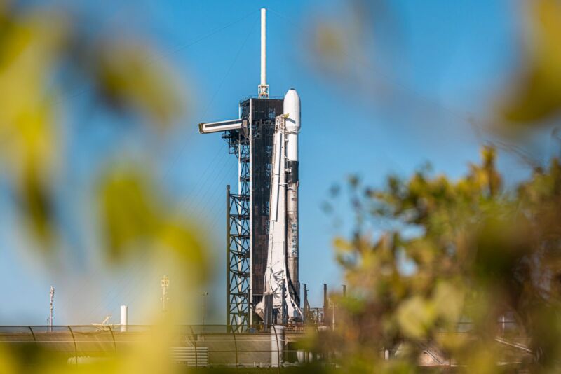 A rocket on a launch pad, as seen through out-of-focus foliage.