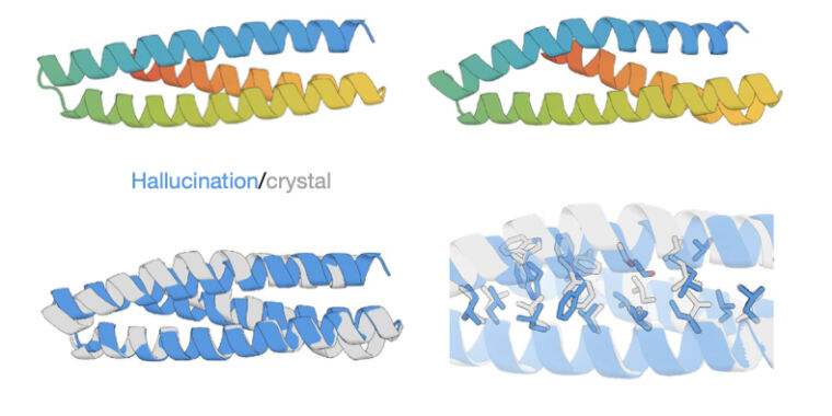 Getting software to “hallucinate” reasonable protein structures