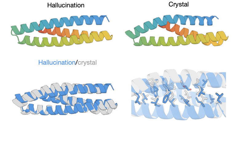 Getting software to “hallucinate” reasonable protein structures