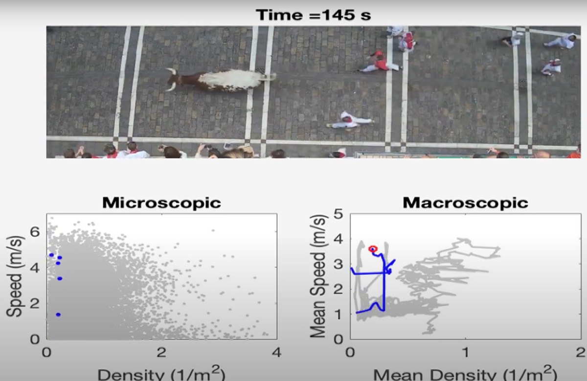 Image of bull and pedestrian on top, with diagrams of dynamics on bottom