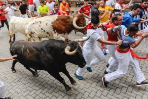 revelers running with bulls in streets
