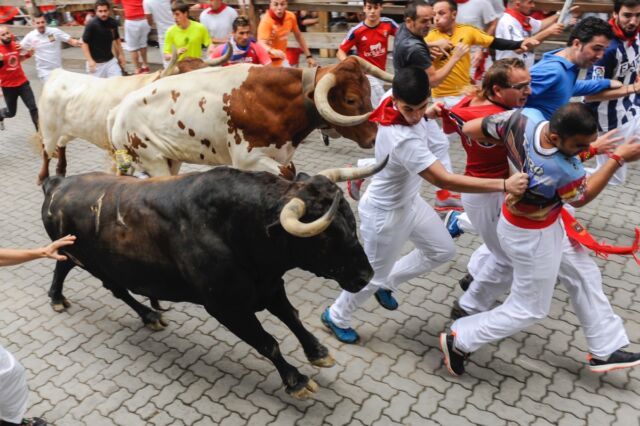 Revelers run with Nunez del Cuvillo's fighting bulls during the eighth day of the San Fermin Running of the Bulls festival on July 13, 2017, in Pamplona, Spain.