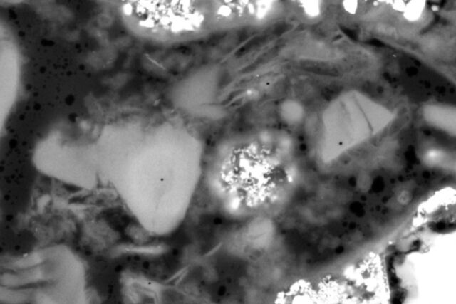 Image au microscope électronique à balayage du mortier de la tombe.
