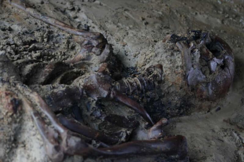 The partially mutilated remains of a Vesuvius victim, found at the site of what would have been the beach of Herculaneum.