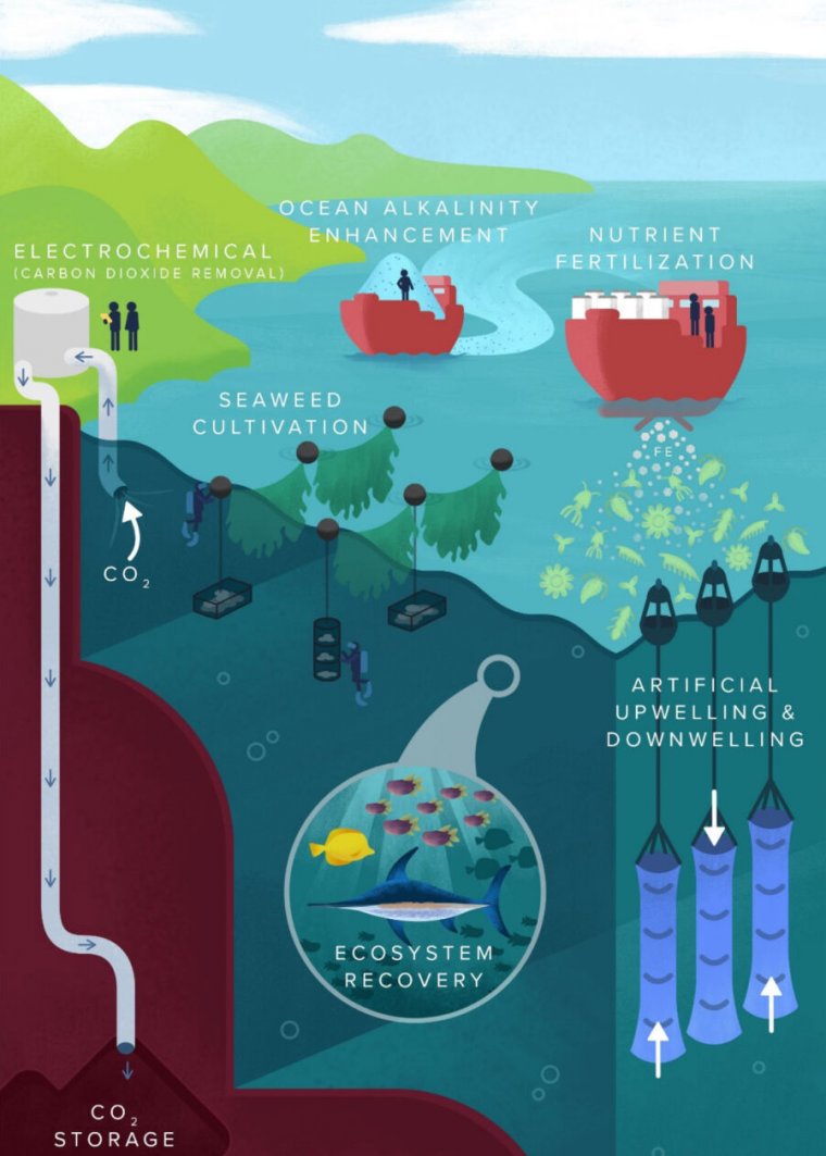 There’s a lot we don’t know about ocean CO₂ removal