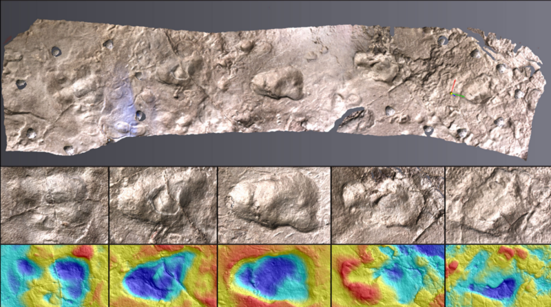 Color photo of footprints in sediment, with color relief maps below.