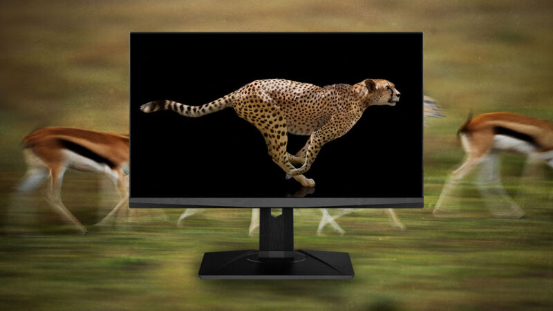 Monitor hz online 360