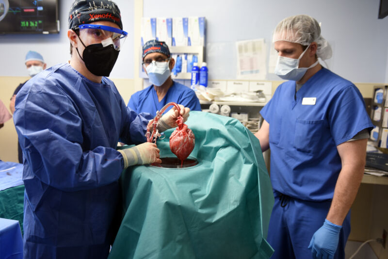 Image of surgeons surrounding a patient.