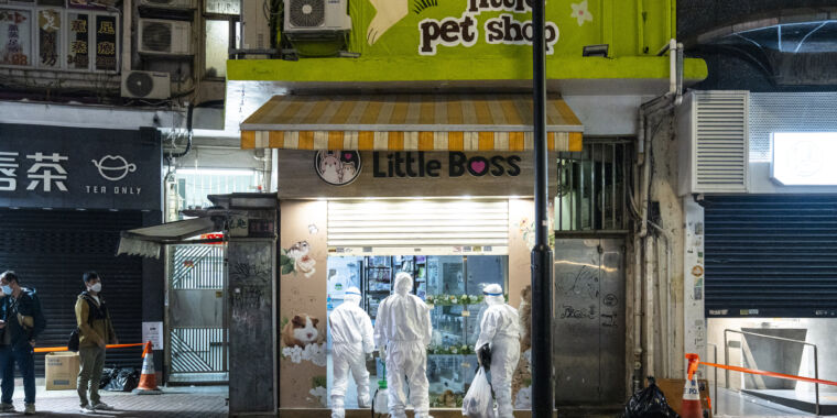 COVID-infected hamsters in pet shop trigger animal cull in Hong Kong