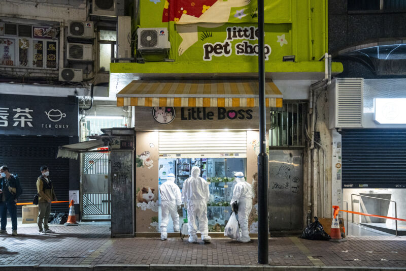 People in protective gear stand outside a colorful storefront.