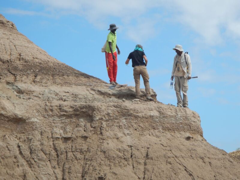 Researchers Date The Oldest Known Human Skull At 233 000 Years Ars   Omo I Image 1 800x600 