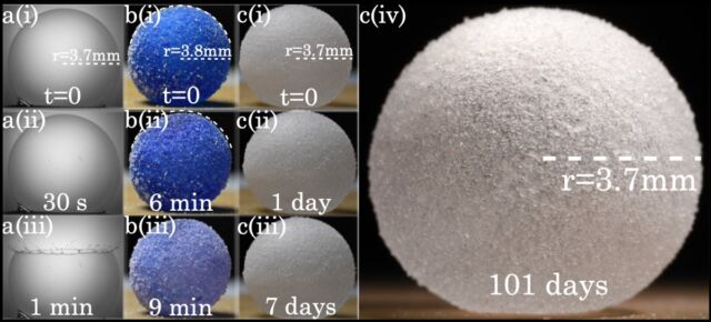 Comparison of the lifetime of three types of bubbles. (a) Soap bubble, 1 minute; (b) water gas marble, 6-9 minutes; (c) water/glycerol gas marble, 101+ days.