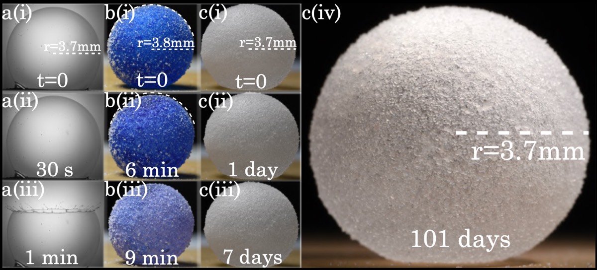 Science of bursting bubbles has its bubble burst 