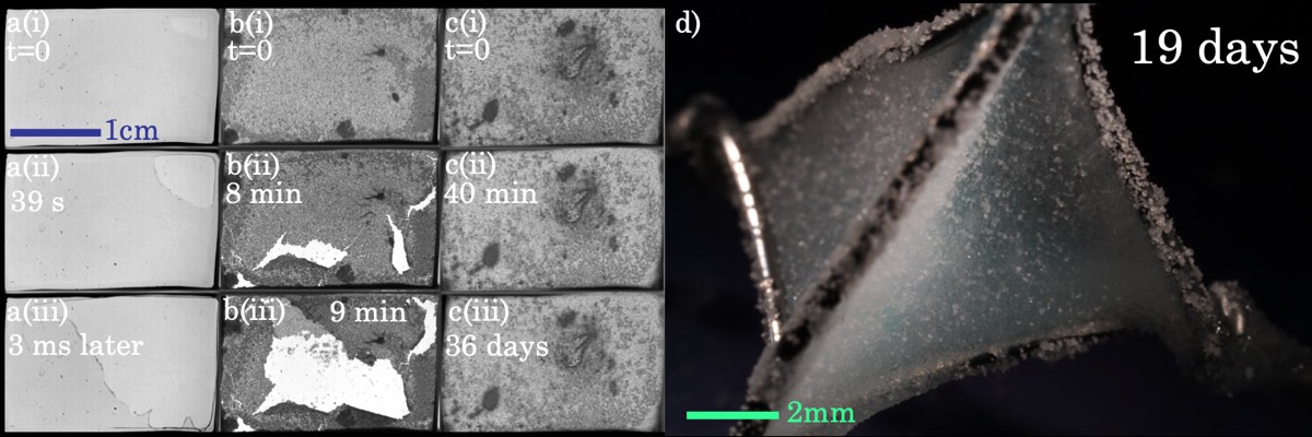 No kidding, a bubble that lasted for 465 days! French scientists