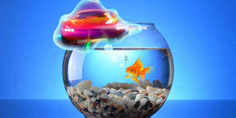Scientists prepare goldfish to drive a fish-operated car on land