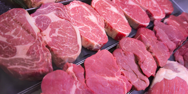 Did consuming meat actually make us human?