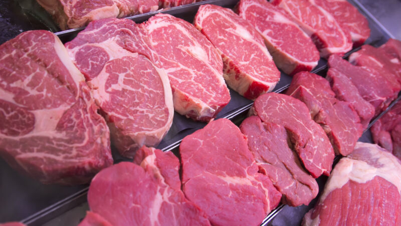 Did eating meat really make us human?