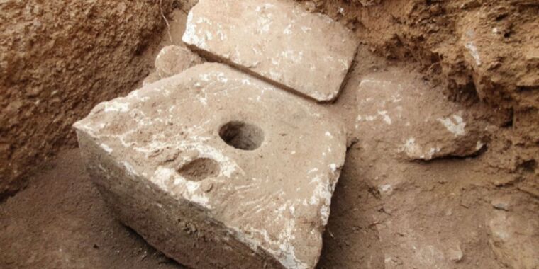 photo of Intestinal parasites plagued Jerusalem’s wealthy elite, toilet excavation reveals image