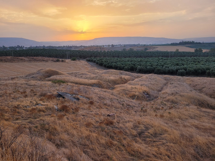 Signs of prehistoric human life peak up through a grassland.