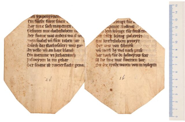 The only surviving fragment of a German manuscript containing Wolfram von Eschenbach's <em>Willehalm</em>.