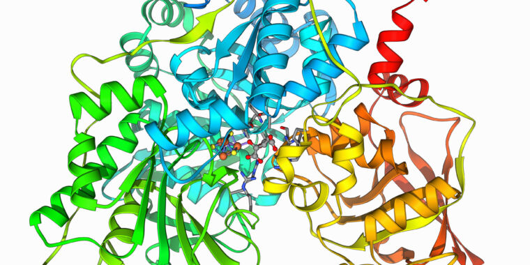 Haben Sie ein Protein, das Sie verhindern möchten?  Das neue Programm kann einen Blocker entwerfen