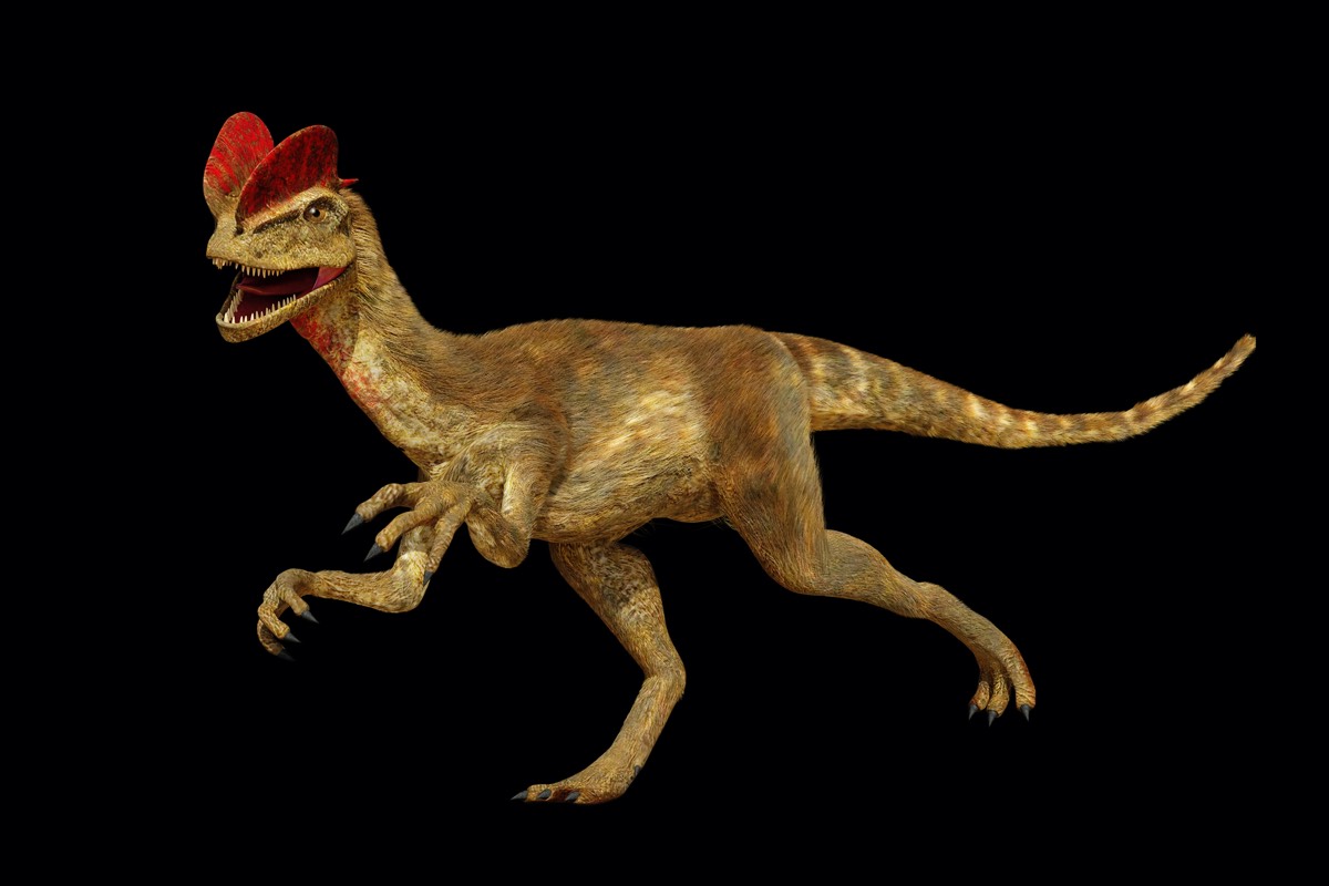 Dilophosaurus running dinosaur