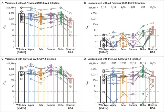 Neutralization Capacity of Serum Samples Obtained from Patients Who Recovered from Infection with the Omicron BA.1 Variant.