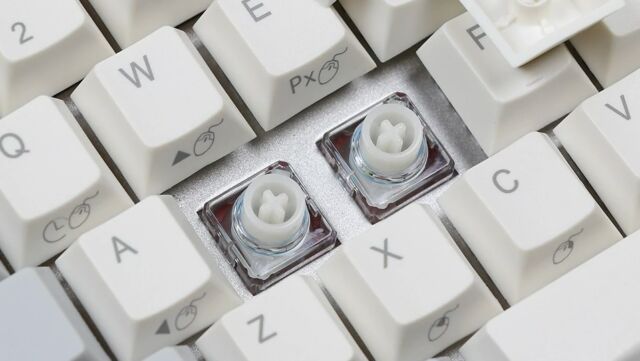 Topre switches.
