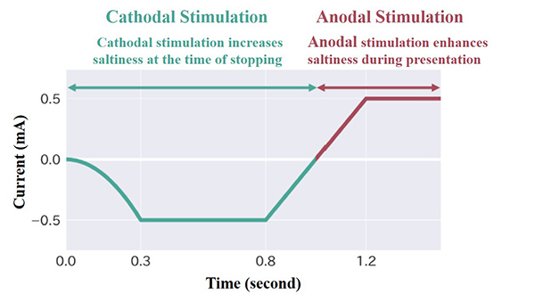 Depicting the electrical stimulation waveform used. 