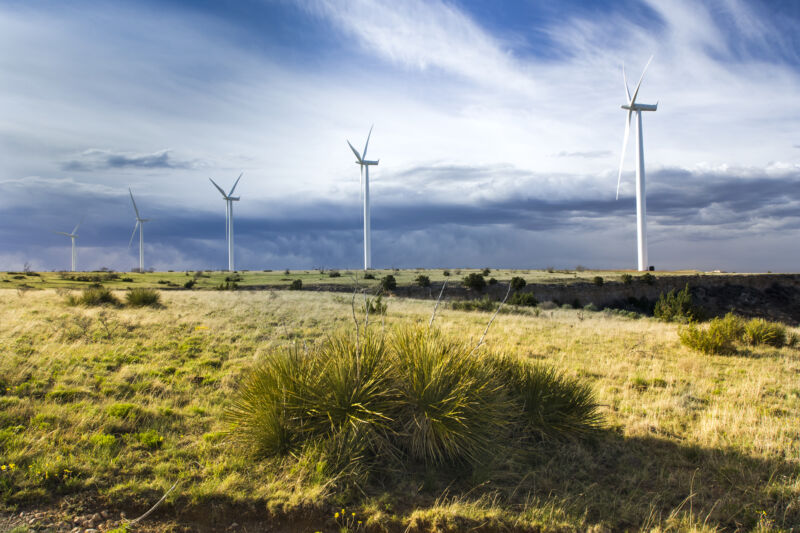 Wind turbines stretch across Texas scrubland.